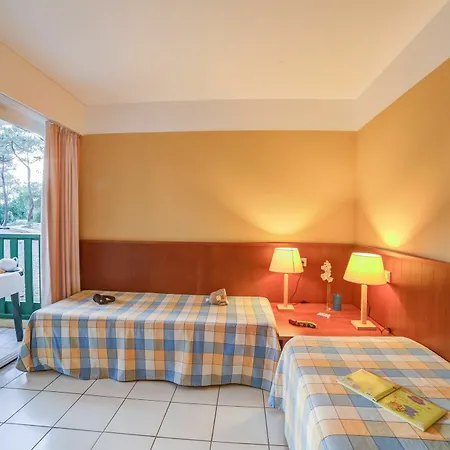 Pierre And Les Grands Pins Carcans