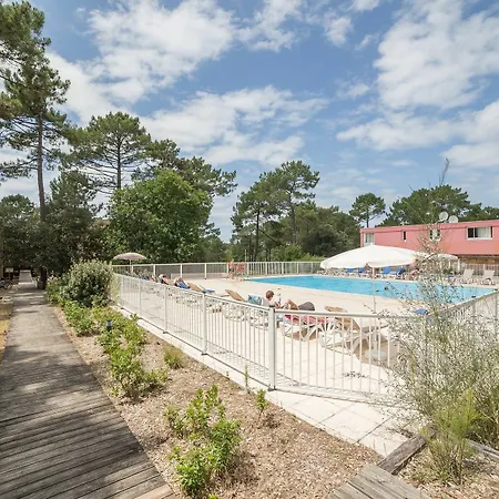 Pierre And Les Grands Pins