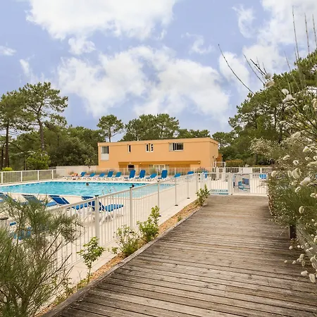 Pierre And Les Grands Pins *