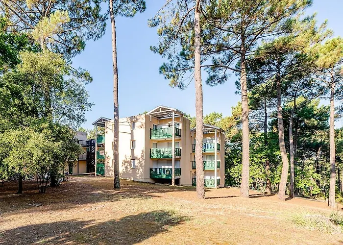 Pierre And Les Grands Pins *