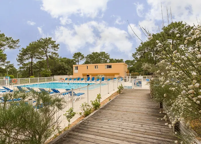 Pierre And Les Grands Pins *