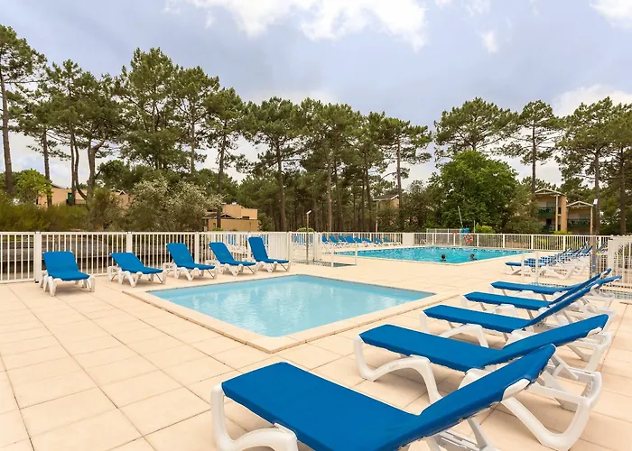 Pierre And Les Grands Pins