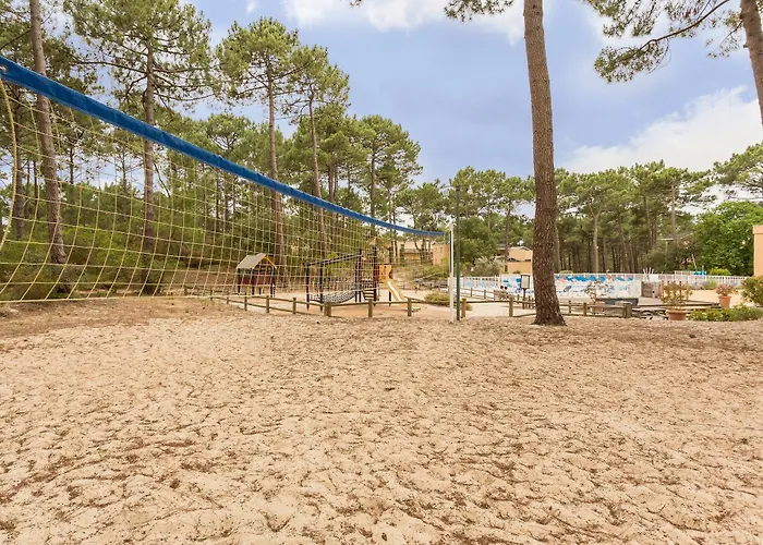 Pierre And Les Grands Pins